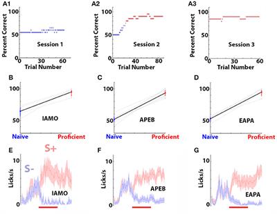 Precision of Classification of Odorant Value by the Power of Olfactory Bulb Oscillations Is Altered by Optogenetic Silencing of Local Adrenergic Innervation